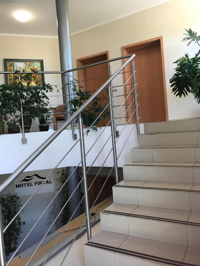 Motel Pintal Гожов Велкополски Екстериор снимка